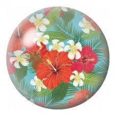 Cabochon en Verre Illustré Hibiscus Rouges et Frangipani 12 à 25mm pour la Création de Bijoux Fantaisie - DIY