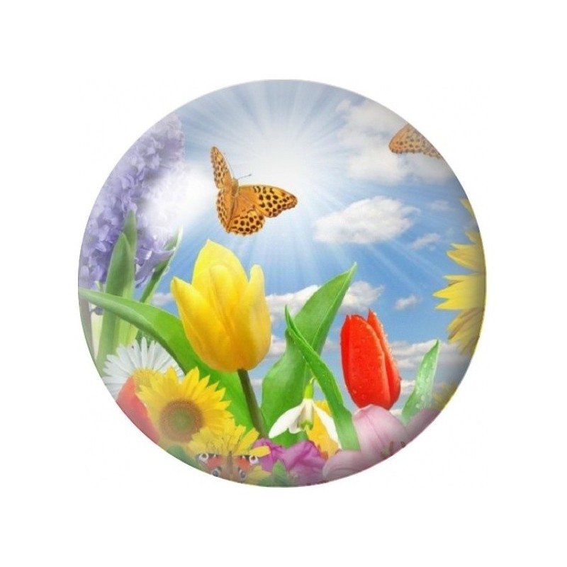 Cabochon en Verre Illustré Tulipes et Papillon au Printemps 12 à 25mm