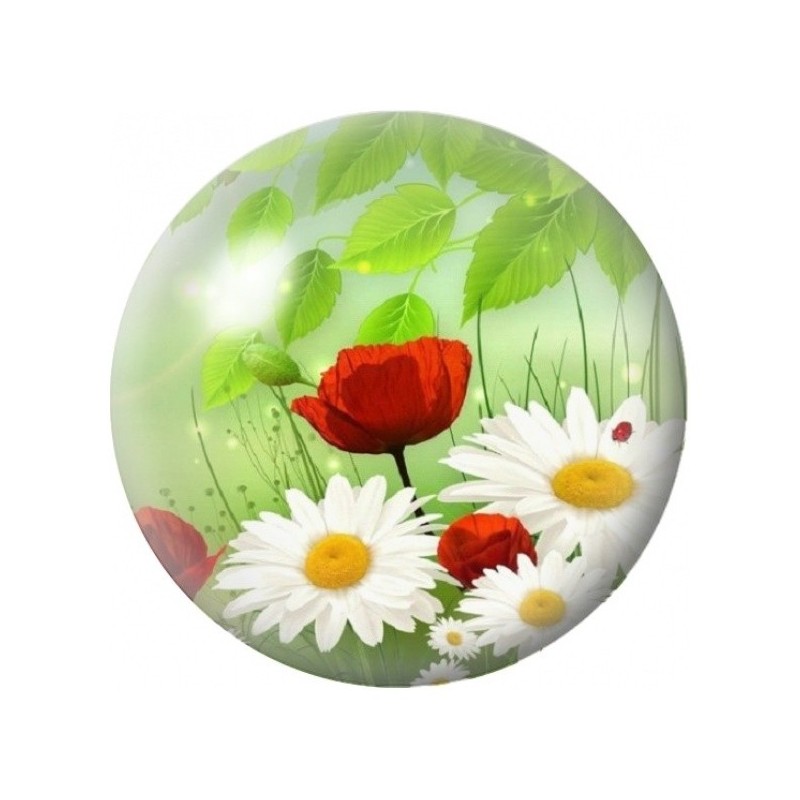 Cabochon en Verre Illustré Coquelicot Rouge et Marguerites 12 à 25mm