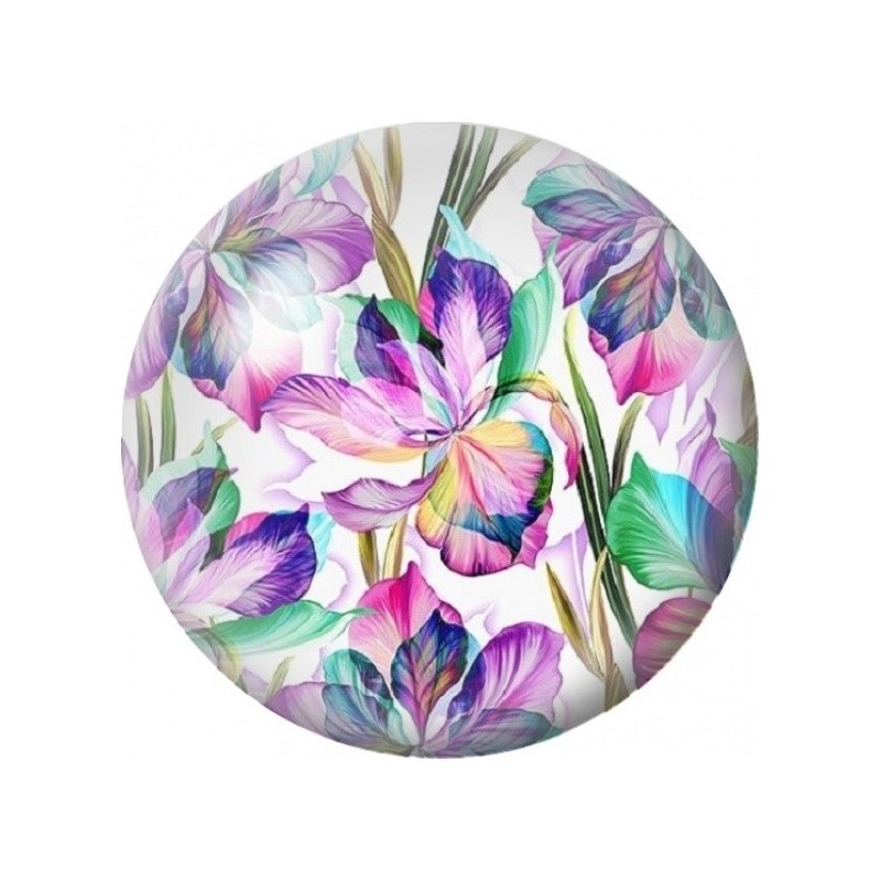 Cabochon en Verre Illustré Iris Multicolores 12 à 25mm