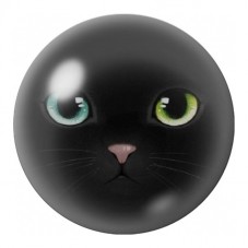 Cabochon en Verre Illustré Chat Noir aux Yeux Vairons 12 à 25mm pour la Création de Bijoux Fantaisie - DIY