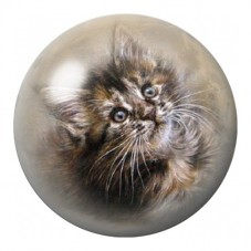 Cabochon en Verre Illustré Chaton Tigré au Regard Tendre 12 à 25mm pour la Création de Bijoux Fantaisie - DIY