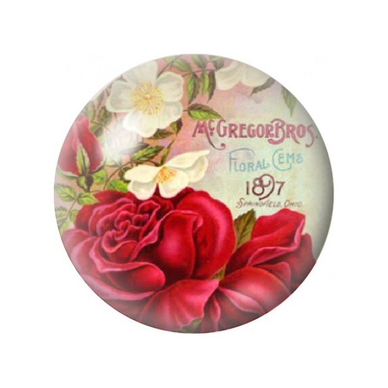 Cabochon en Verre Illustré Roses Rouges sur Étiquette Florale 12 à 25mm