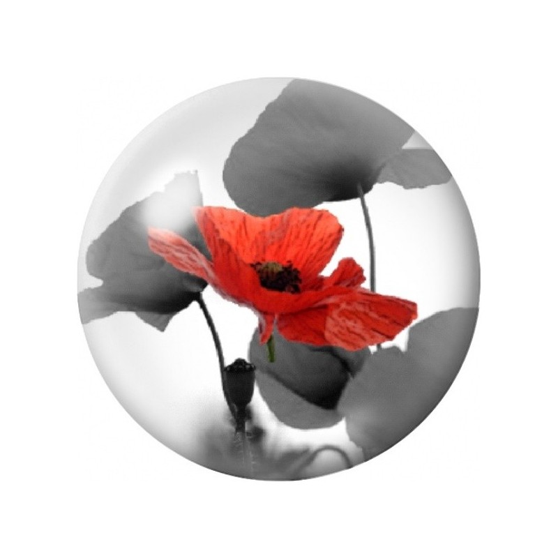 Cabochon en Verre Illustré Coquelicot Rouge aux Ombres Grises 12 à 25mm