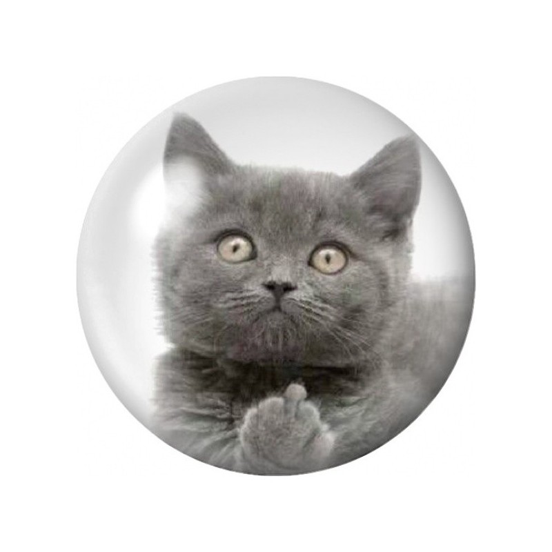 Cabochon en Verre Illustré Chaton Gris au Regard Étonné 12 à 25mm