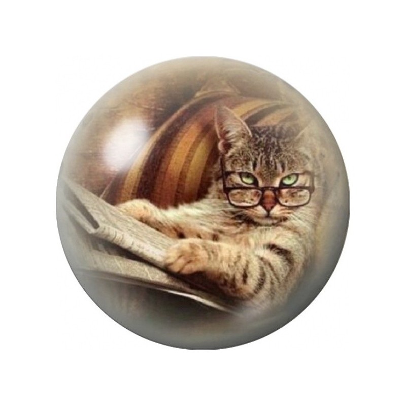 Cabochon en Verre Illustré Chat Lecteur aux Petites Lunettes 12 à 25mm