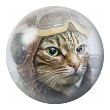 Cabochon en Verre Illustré Chat Aviateur aux Lunettes de Vol 12 à 25mm pour la Création de Bijoux Fantaisie - DIY