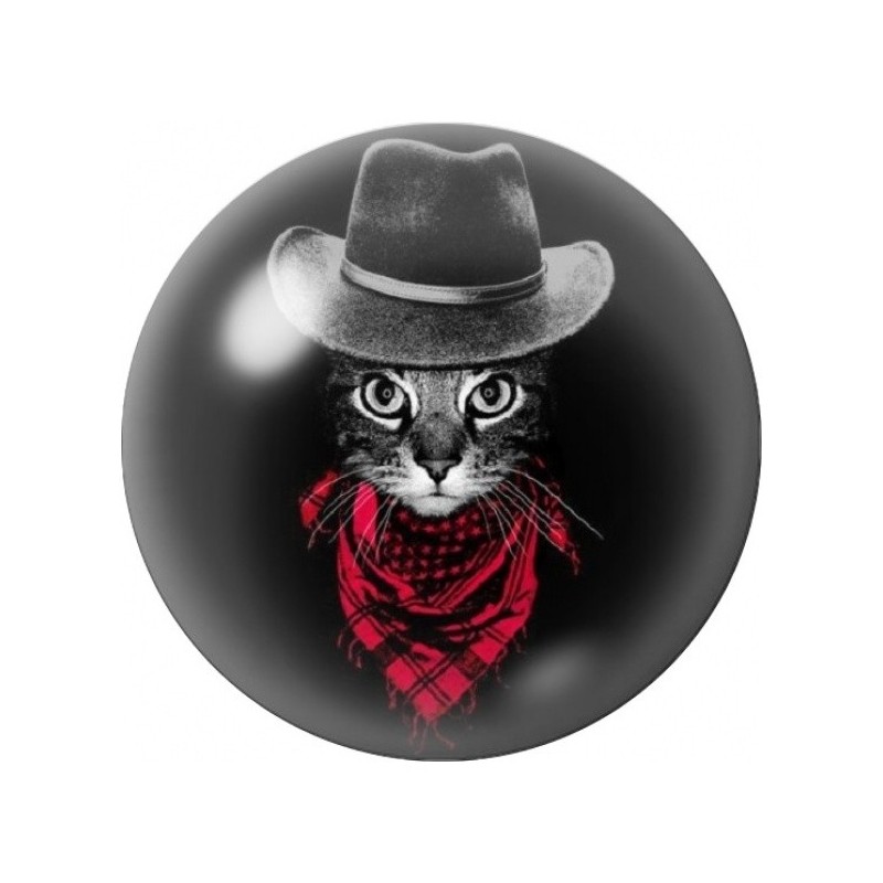Cabochon en Verre Illustré Chat Bandit au Foulard Rouge 12 à 25mm