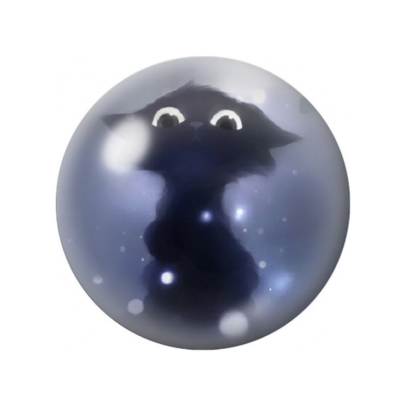 Cabochon en Verre Illustré Chat d’Ombre aux Lumières Blanches 12 à 25mm