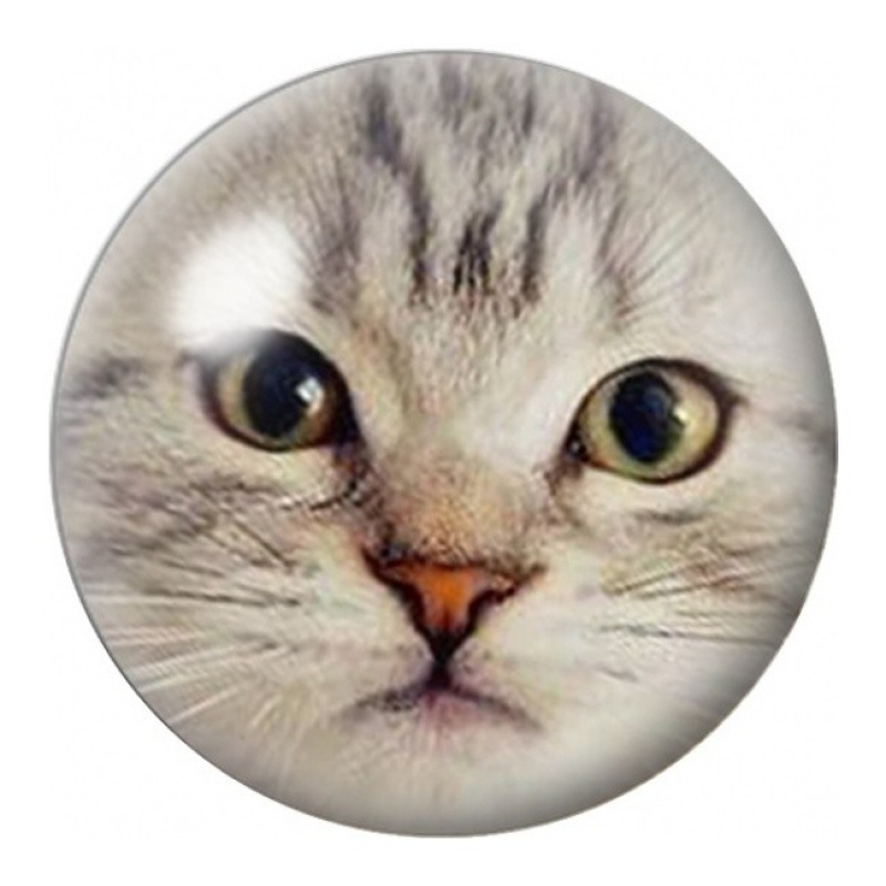 Cabochon en Verre Illustré Chat Gris aux Yeux Vairons 12 à 25mm
