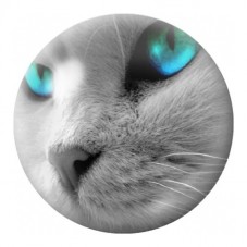 Cabochon en Verre Illustré Chat Gris aux Yeux Turquoise 12 à 25mm pour la Création de Bijoux Fantaisie - DIY