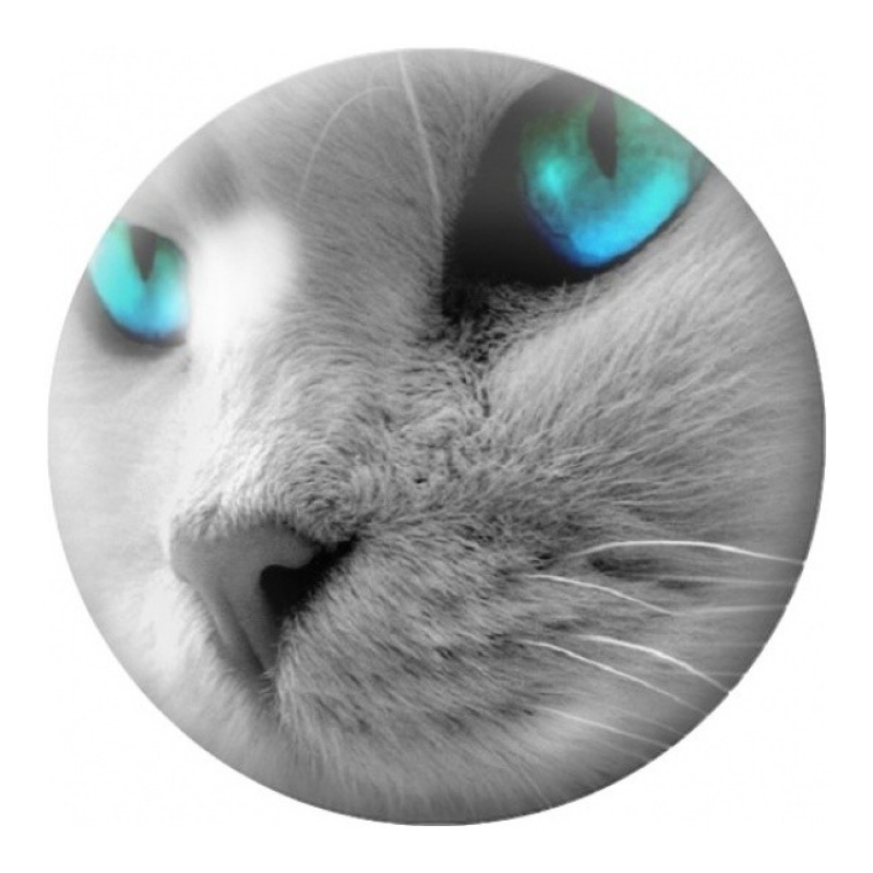 Cabochon en Verre Illustré Chat Gris aux Yeux Turquoise 12 à 25mm