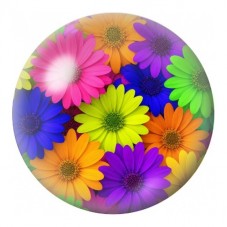 Cabochon en Verre Illustré Marguerites Arc-en-Ciel 12 à 25mm pour la Création de Bijoux Fantaisie - DIY