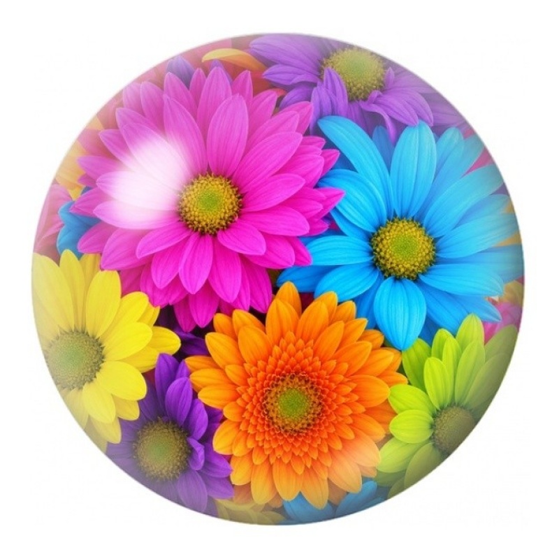 Cabochon en Verre Illustré Gerberas Multicolores 12 à 25mm