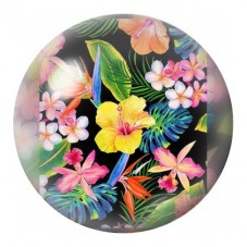 Cabochon en Verre Illustré Oiseau au Jardin Tropical 12 à 25mm pour la Création de Bijoux Fantaisie - DIY