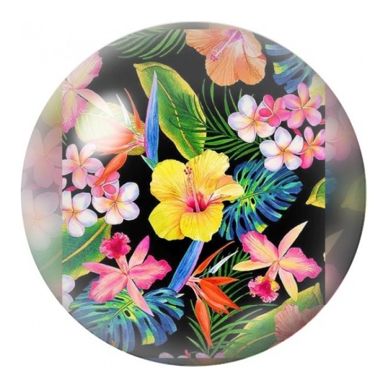 Cabochon en Verre Illustré Oiseau au Jardin Tropical 12 à 25mm