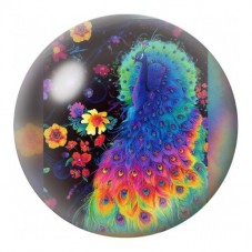 Cabochon en Verre Illustré Paon aux Plumes Arc-en-Ciel 12 à 25mm pour la Création de Bijoux Fantaisie - DIY