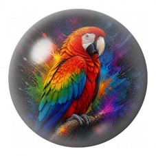 Cabochon en Verre Illustré Ara Arc-en-Ciel 12 à 25mm pour la Création de Bijoux Fantaisie - DIY