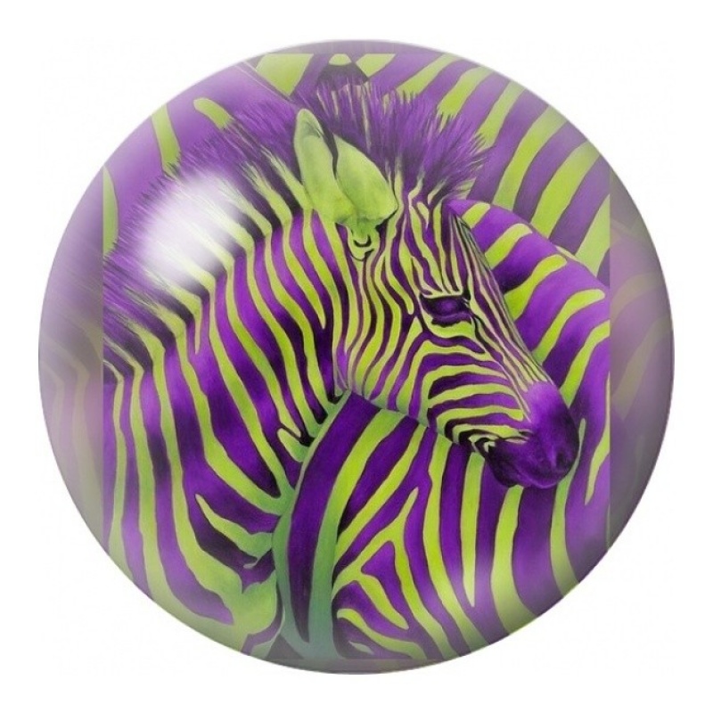 Cabochon en Verre Illustré Zèbre Vert et Violet 12 à 25mm
