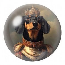 Cabochon en Verre Illustré Teckel Chevalier Couronné 12 à 25mm pour la Création de Bijoux Fantaisie - DIY