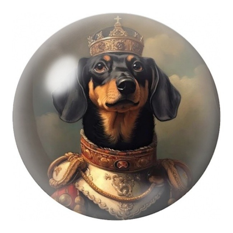 Cabochon en Verre Illustré Teckel Chevalier Couronné 12 à 25mm