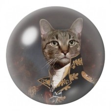 Cabochon en Verre Illustré Chat Gentleman Musicien 12 à 25mm pour la Création de Bijoux Fantaisie - DIY