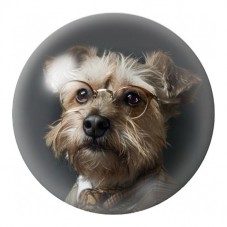 Cabochon en Verre Illustré Chien Gentleman aux Lunettes 12 à 25mm pour la Création de Bijoux Fantaisie - DIY