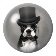 Cabochon en Verre Illustré Bouledogue au Haut-de-Forme 12 à 25mm pour la Création de Bijoux Fantaisie - DIY