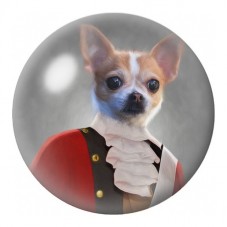 Cabochon en Verre Illustré Chihuahua en Uniforme Rouge 12 à 25mm pour la Création de Bijoux Fantaisie - DIY
