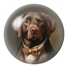 Cabochon en Verre Illustré Labrador Gentleman 12 à 25mm pour la Création de Bijoux Fantaisie - DIY