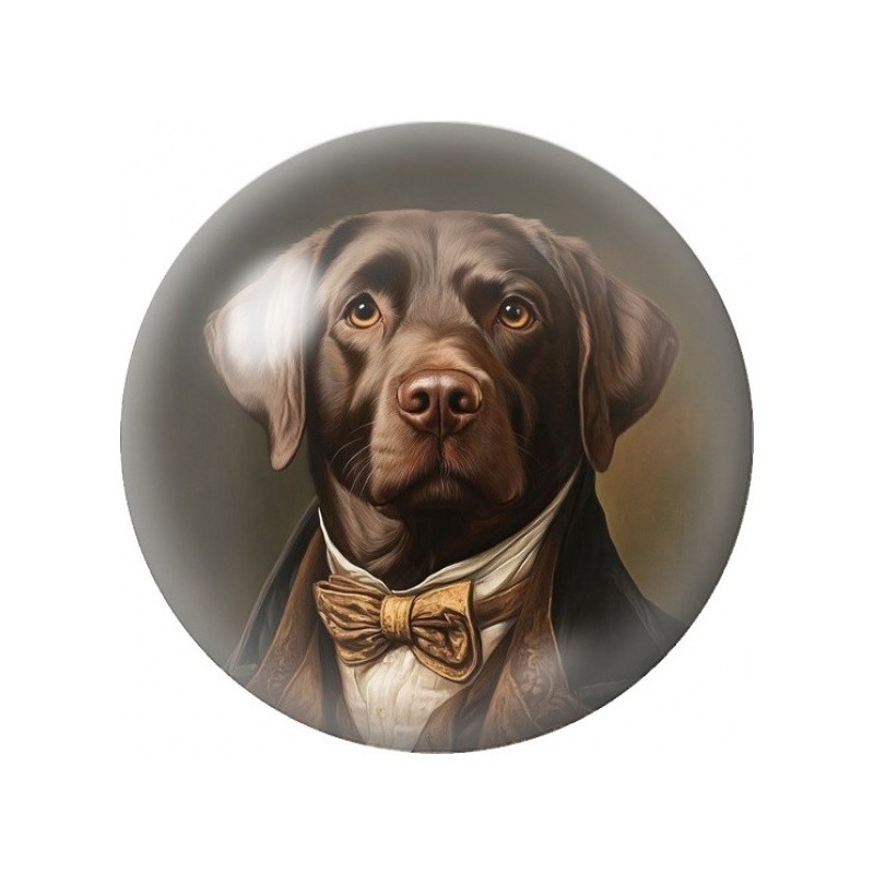 Cabochon en Verre Illustré Labrador Gentleman 12 à 25mm