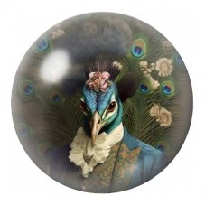 Cabochon en Verre Illustré Paon Victorien Fleuri 12 à 25mm pour la Création de Bijoux Fantaisie - DIY