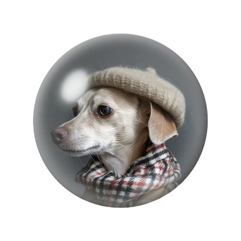Cabochon en Verre Illustré Chien au Bonnet d’Hiver 12 à 25mm