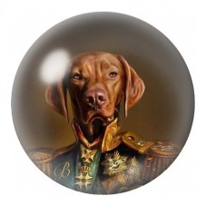 Cabochon en Verre Illustré Chien en Veste Dorée 12 à 25mm pour la Création de Bijoux Fantaisie - DIY