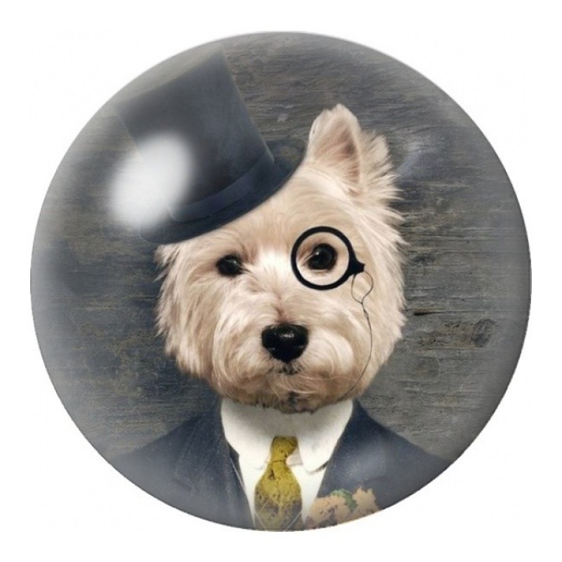 Cabochon en Verre Illustré Chien au Monocle 12 à 25mm