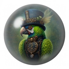 Cabochon en Verre Illustré Perroquet Steampunk 12 à 25mm pour la Création de Bijoux Fantaisie - DIY