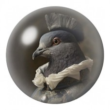 Cabochon en Verre Illustré Pigeon Gentleman à la Collerette 12 à 25mm pour la Création de Bijoux Fantaisie - DIY