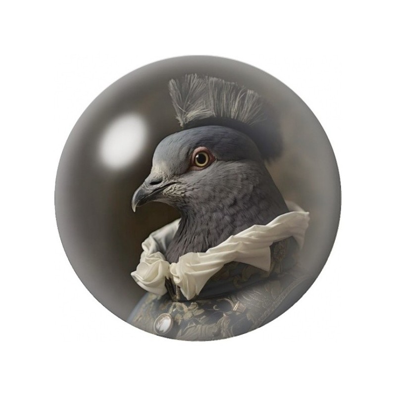 Cabochon en Verre Illustré Pigeon Gentleman à la Collerette 12 à 25mm
