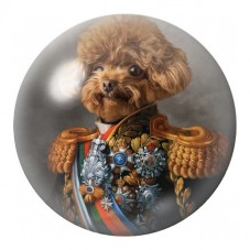 Cabochon en Verre Illustré Caniche Officier Décoré 12 à 25mm pour la Création de Bijoux Fantaisie - DIY