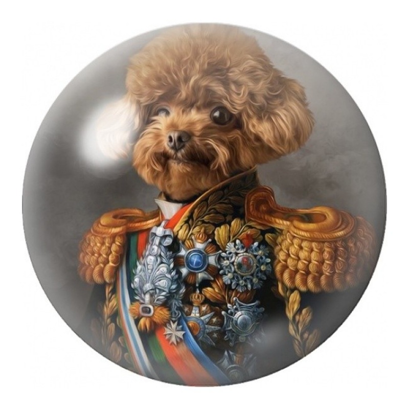 Cabochon en Verre Illustré Caniche Officier Décoré 12 à 25mm
