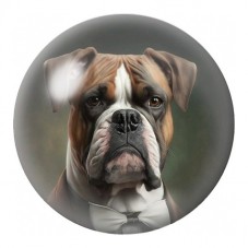 Cabochon en Verre Illustré Boxer Aristocrate 12 à 25mm pour la Création de Bijoux Fantaisie - DIY