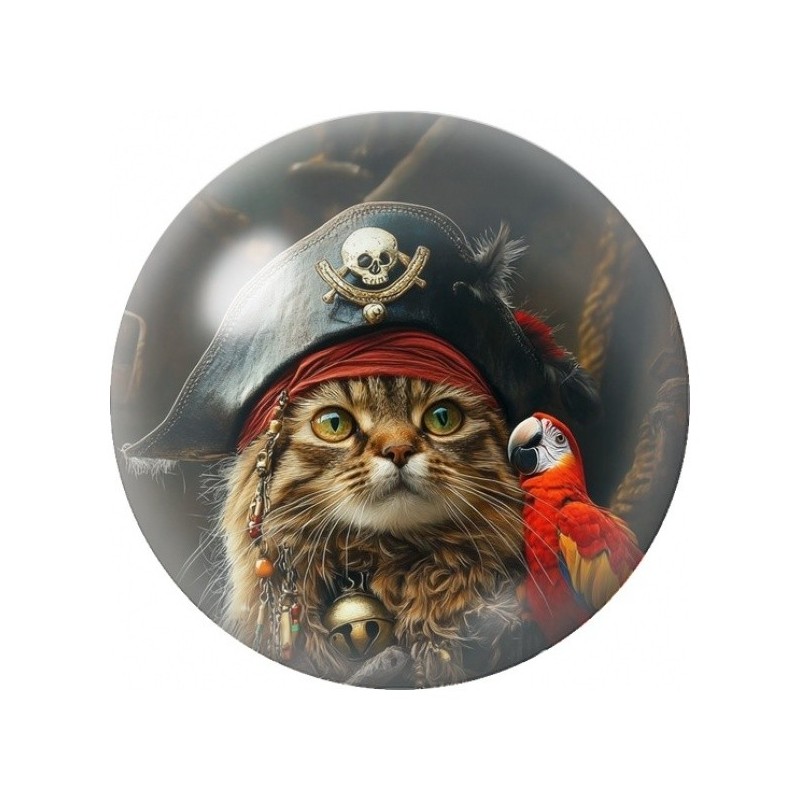 Cabochon en Verre Illustré Chat Pirate au Perroquet 12 à 25mm