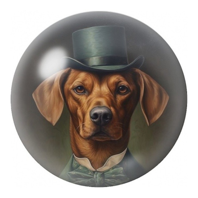 Cabochon en Verre Illustré Teckel au Haut-de-Forme Vert 12 à 25mm