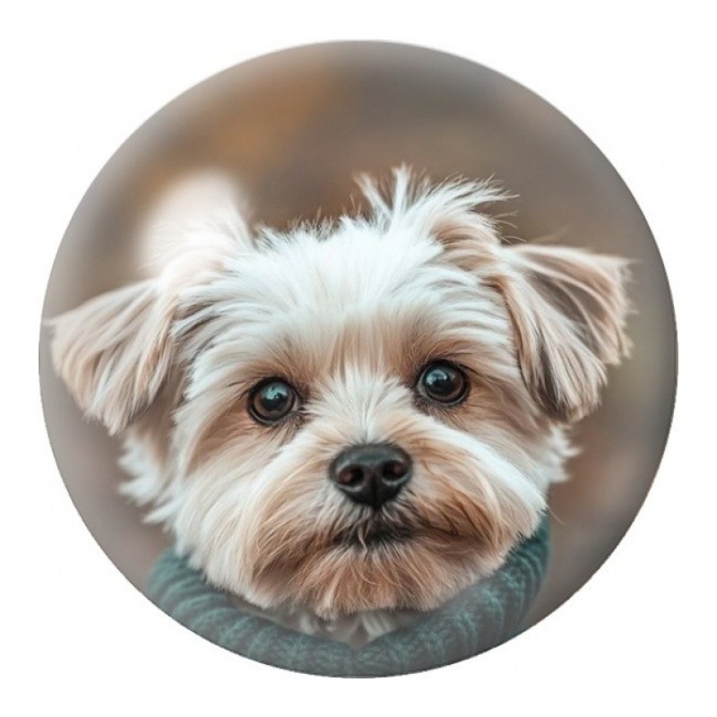 Cabochon en Verre Illustré Petit Chien Blanc au Col Vert 12 à 25mm