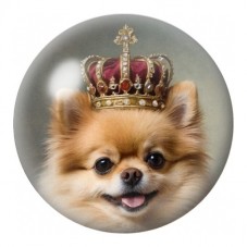 Cabochon en Verre Illustré Spitz Royal Couronné 12 à 25mm pour la Création de Bijoux Fantaisie - DIY