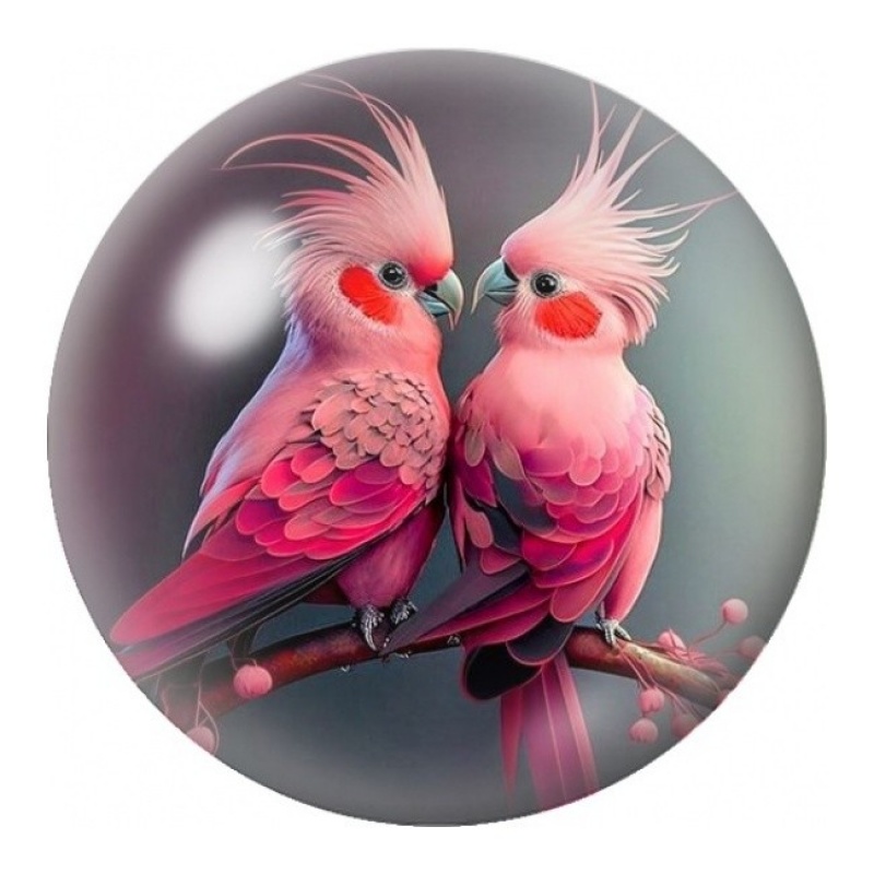 Cabochon en Verre Illustré Duo de Cacatoès Roses 12 à 25mm