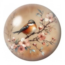 Cabochon en Verre Illustré Rouge-Gorge aux Fleurs de Cerisier 12 à 25mm pour la Création de Bijoux Fantaisie - DIY