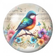 Cabochon en Verre Illustré Passereau Multicolore Musicien 12 à 25mm pour la Création de Bijoux Fantaisie - DIY