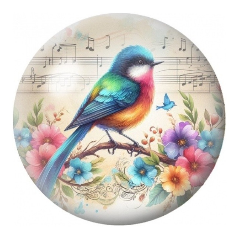 Cabochon en Verre Illustré Passereau Multicolore Musicien 12 à 25mm