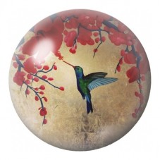 Cabochon en Verre Illustré Colibri sous les Feuilles Rouges 12 à 25mm pour la Création de Bijoux Fantaisie - DIY